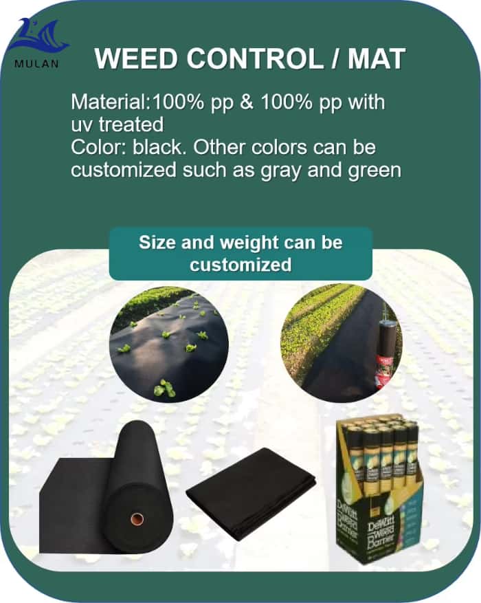 Weed Control 3.jpg
